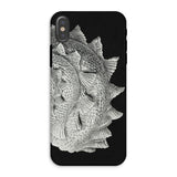 Spiral Shell - Ernst Haeckel Sea Life Graphic Iphone Case, Xs / Matte, Textured Fish-scale Phone Case