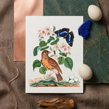 Spotted Flycatcher Purple Emperor and Longhorned Beetle - James Bolton Art Print / Canvas Detailed Botanical Illustration Brown Bird