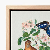 Spotted Flycatcher Purple Emperor and Longhorned Beetle - James Bolton Art Print / Canvas Framed Botanical Detailed Illustration Pink Roses