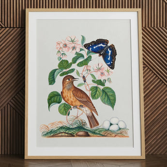 Spotted flycatcher art print with purple emperor butterfly and beetle.