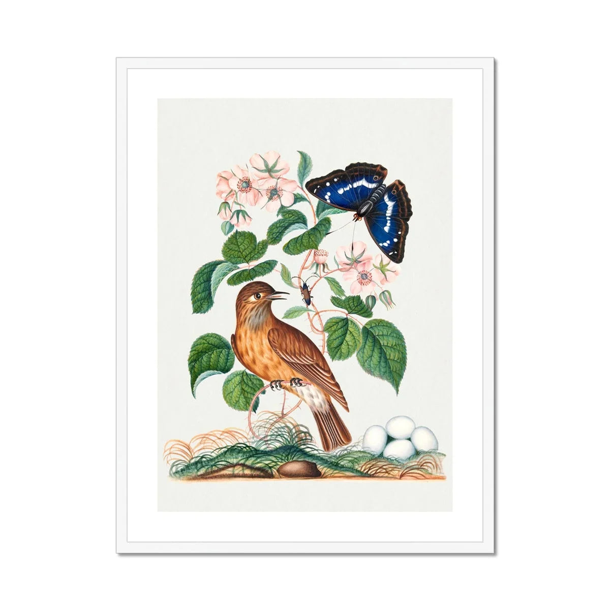 Spotted Flycatcher Purple Emperor and Longhorned Beetle James Bolton Art Print, Brown Bird Perches Pink Flowers Blue Butterfly