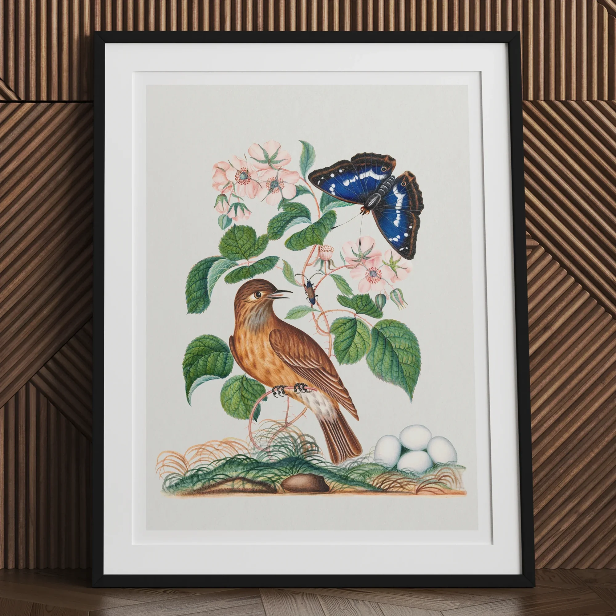 Spotted Flycatcher Purple Emperor and Longhorned Beetle - James Bolton Art Print, Framed Artwork Bird Butterfly Plant Naturalistic Style