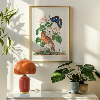 Spotted Flycatcher Purple Emperor and Longhorned Beetle - James Bolton Art Print, Framed Botanical Illustration Bird Flowers