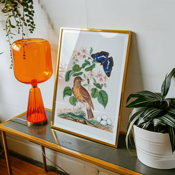 Spotted Flycatcher Purple Emperor and Longhorned Beetle - James Bolton Art Print, Framed Botanical Illustration Bird Butterfly Plant