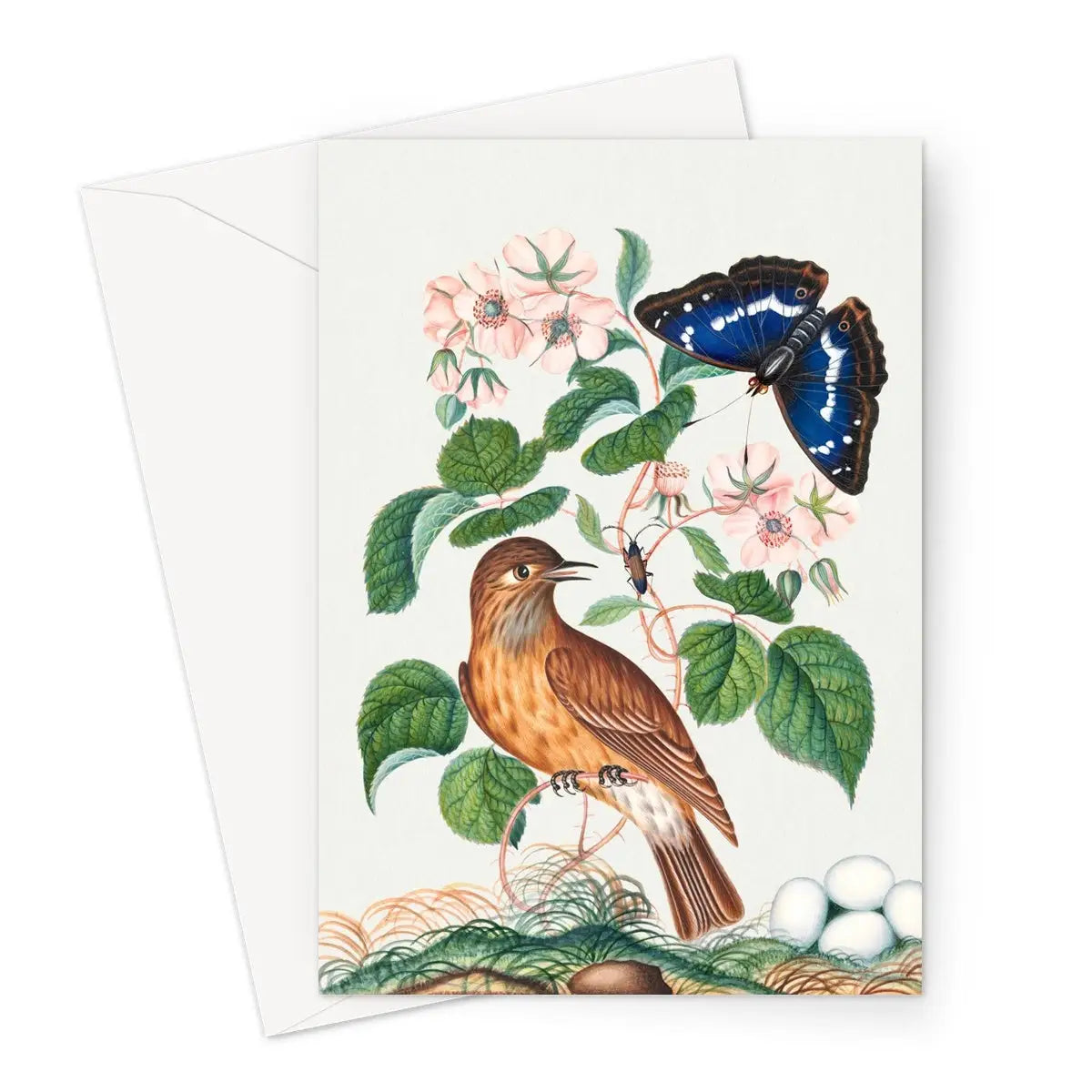 Spotted Flycatcher Purple Emperor And Longhorned Beetle - James Bolton Greeting Card - A5 Portrait / 1 Card - Greeting