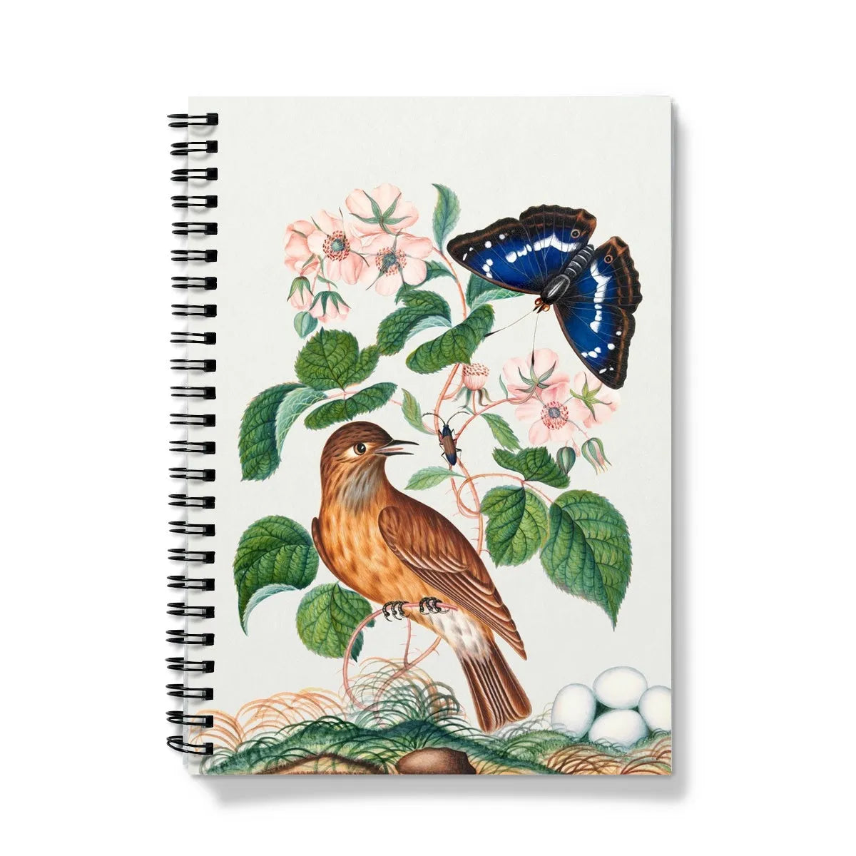 Spotted Flycatcher Purple Emperor And Longhorned Beetle - James Bolton Notebook - A5 / Graph - Notebooks & Notepads