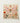 Delicate Pink Butterfly Sculpture Intricate Patterns Dark Segmented Exquisite Taxonomy, Alien Species, Art