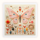 Spreadwinged Empress - Alien Butterfly Taxonomy Art Print / Canvas Pink Butterfly Delicate Wings Intricate Patterns Surrounded Colorful