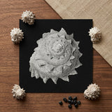 Star Shell - Ernst Haeckel Ocean Life Art Print / Canvas Detailed Monochromatic Print Textured Seashell Intricate Ridges Layered Ernst