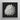 Star Shell - Ernst Haeckel Ocean Life Art Print / Canvas Detailed Monochromatic Textured Seashell Grayscale Tones Framed