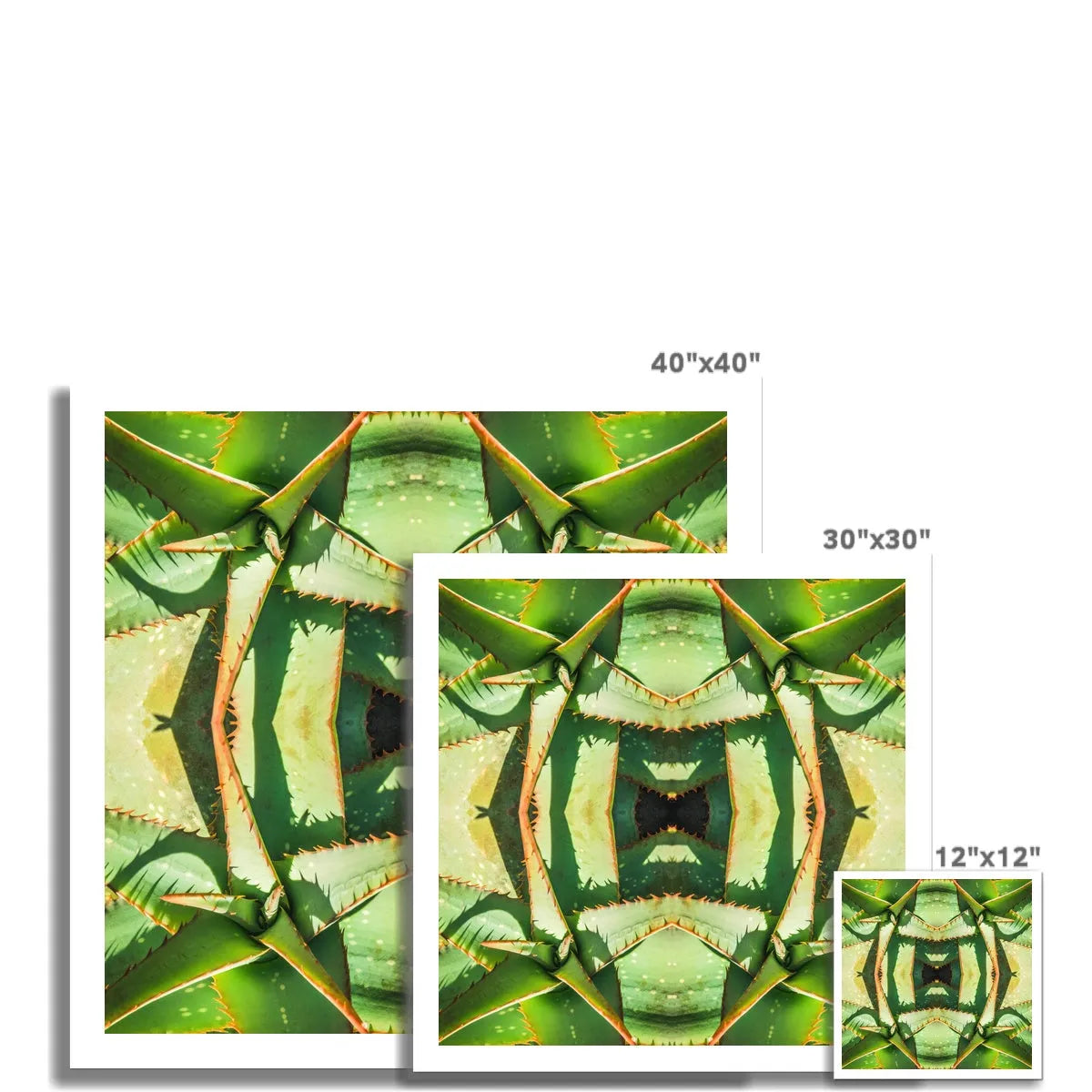 Starry-eyed Succulent Art - Modern Botanical Prints - Posters Prints & Visual Artwork - Aesthetic Art