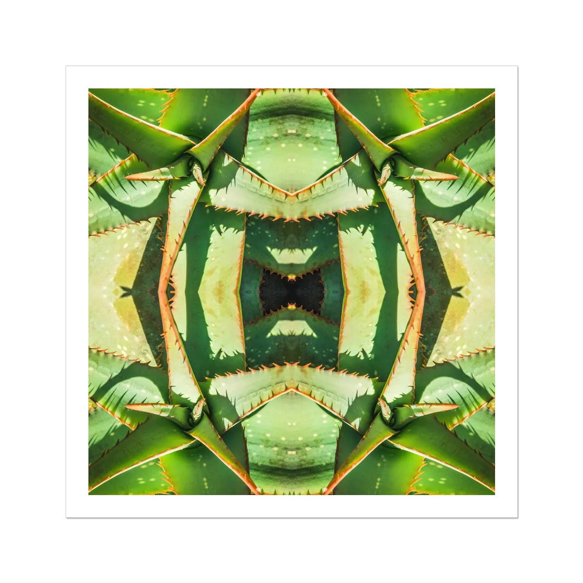 Starry-eyed Succulent Art - Modern Botanical Prints - 30’x30’ - Posters Prints & Visual Artwork - Aesthetic Art