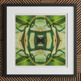 Starry-eyed - Trippy Succulent Op Art Print, 12x12’’ / 31x31cm / Black Frame / 2’’ Matboard, Framed Abstract Print Green Succulent Leaves