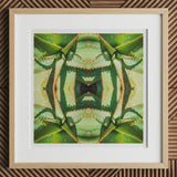 Starry-eyed - Trippy Succulent Op Art Print, 12x12’’ / 31x31cm / Natural Frame / 2’’ Matboard, Framed Kaleidoscopic Print Succulent Leaves