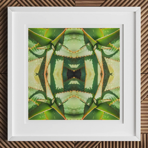 Starry-eyed - Trippy Succulent Op Art Print, 12x12’’ / 31x31cm / White Frame / 2’’ Matboard, Framed Square Abstract Print Kaleidoscope