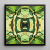 Starry-eyed - Trippy Succulent Op Art Print / Canvas, 12x12’’ / 31x31cm / Black Frame, Posters Prints & Visual Artwork, Toby Leon