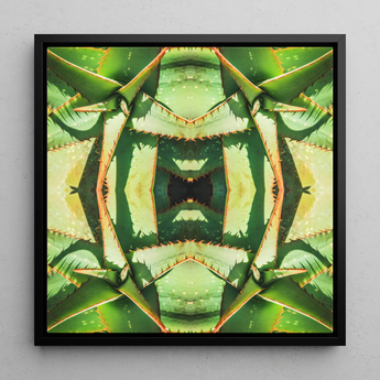 Starry-eyed - Trippy Succulent Op Art Print / Canvas, 12x12’’ / 31x31cm / Black Frame, Posters Prints & Visual Artwork, Toby Leon
