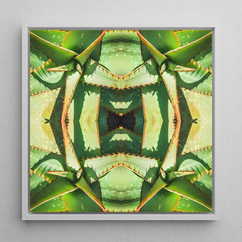 Starry-eyed - Trippy Succulent Op Art Print / Canvas, 12x12’’ / 31x31cm / White Frame, Posters Prints & Visual Artwork, Toby Leon