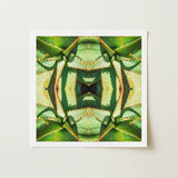 Starry-eyed - Trippy Succulent Op Art Print / Canvas Square-framed Symmetrical Kaleidoscopic Design Green, Enhanced Matte Fine, Prints