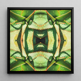 Starry-eyed - Trippy Succulent Op Art Print / Canvas, Succulent Op Art, Enhanced Matte Fine, Trippy Succulent
