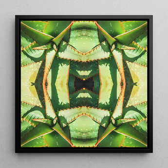 Starry-eyed - Trippy Succulent Op Art Print / Canvas, Succulent Op Art, Enhanced Matte Fine, Trippy Succulent