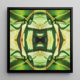 Starry-eyed - Trippy Succulent Op Art Print / Canvas Black-framed Square Canvas Art Symmetrical Kaleidoscopic Design Green Succulent Op