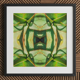 Starry-eyed - Trippy Succulent Op Art Print / Canvas, Succulent Op Art, Enhanced Matte Fine, Trippy Succulent