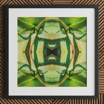 Starry-eyed - Trippy Succulent Op Art Print / Canvas Framed Abstract Botanical Print Symmetrical Kaleidoscopic Pattern Green Succulent Op