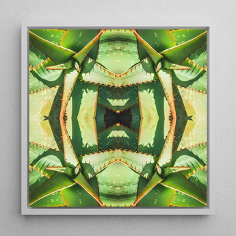 Starry-eyed - Trippy Succulent Op Art Print / Canvas Framed Square Artwork Symmetrical Kaleidoscopic Pattern Green Succulent Op Art,