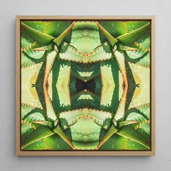 Starry-eyed - Trippy Succulent Op Art Print / Canvas, Succulent Op Art, Enhanced Matte Fine, Trippy Succulent