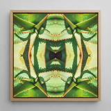 Starry-eyed - Trippy Succulent Op Art Print / Canvas Square-framed Artwork Symmetrical Kaleidoscopic Pattern Green Succulent Leaves Op Art,
