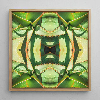 Starry-eyed - Trippy Succulent Op Art Print / Canvas Square-framed Artwork Symmetrical Kaleidoscopic Pattern Green Succulent Leaves Op Art,
