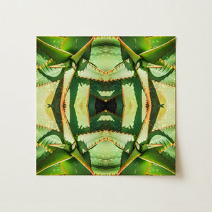 Starry-eyed - Trippy Succulent Op Art Print / Canvas Symmetrical Kaleidoscopic Print Aloe Vera Leaves Shades Green Succulent Op Art,