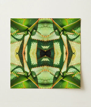 Symmetrical Kaleidoscopic Print Aloe Vera Leaves Shades Green Succulent Op Art, Enhanced Matte Fine, Trippy