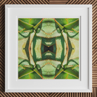 Starry-eyed - Trippy Succulent Op Art Print