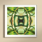 Starry Eyed Trippy Succulent Op Art Print, Kaleidoscopic Pattern Created Mirrored Green Agave Plant Leaves