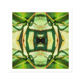 Starry-eyed - Trippy Succulent Op Art Print, Kaleidoscopic Pattern Created Mirrored Green Succulent Leaves