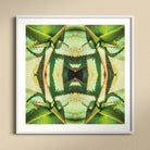 Starry-eyed - Trippy Succulent Op Art Print