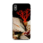 Still Life with Shells & Corals - Jacques Linard Iphone Case, Xs Max / Matte, Seashell-themed Phone Case