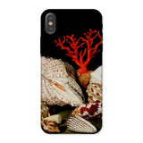 Still Life with Shells & Corals - Jacques Linard Phone Case Iphone x / Matte Seashell-themed Phone Case Red Coral Antlers, Velvet Black
