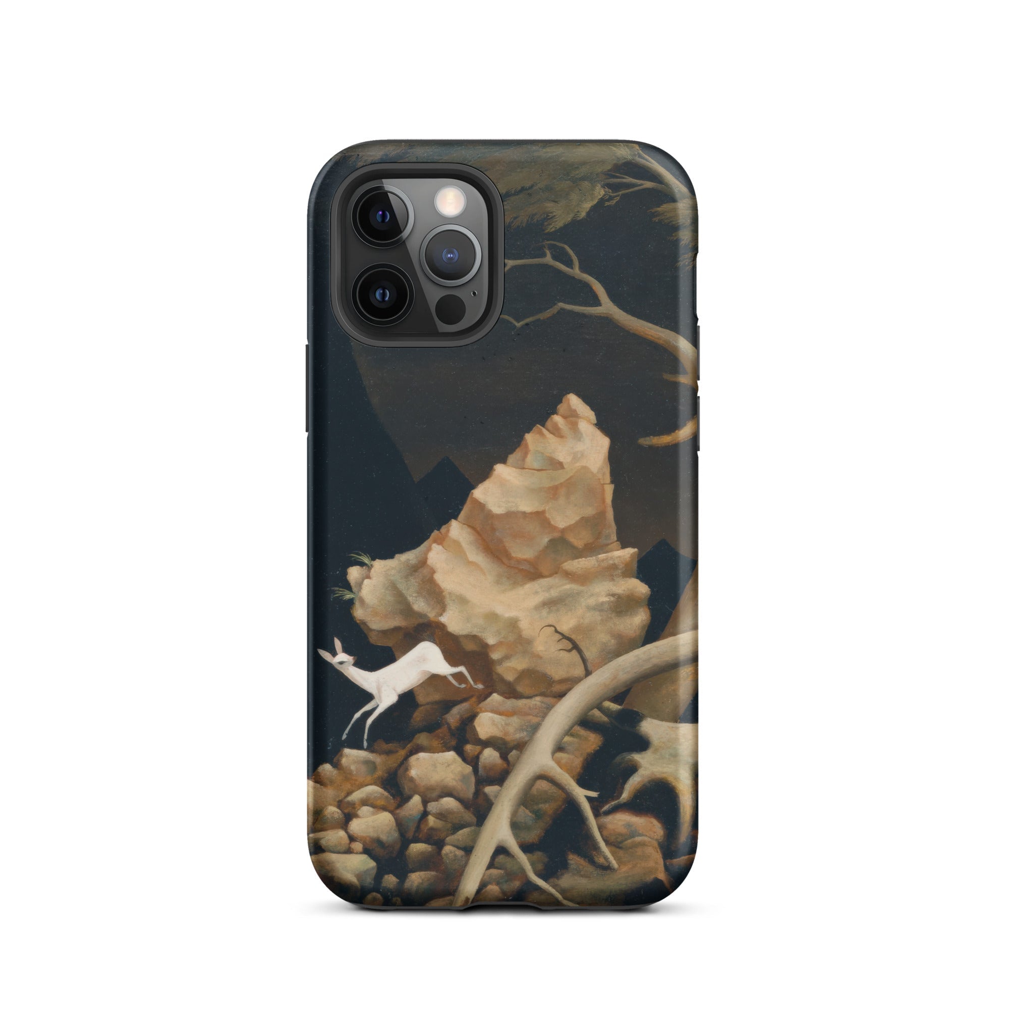 Storm Franz Sedlacek Iphone Case, 12 Pro / Matte, Phone Case Deer Rock Formation Design