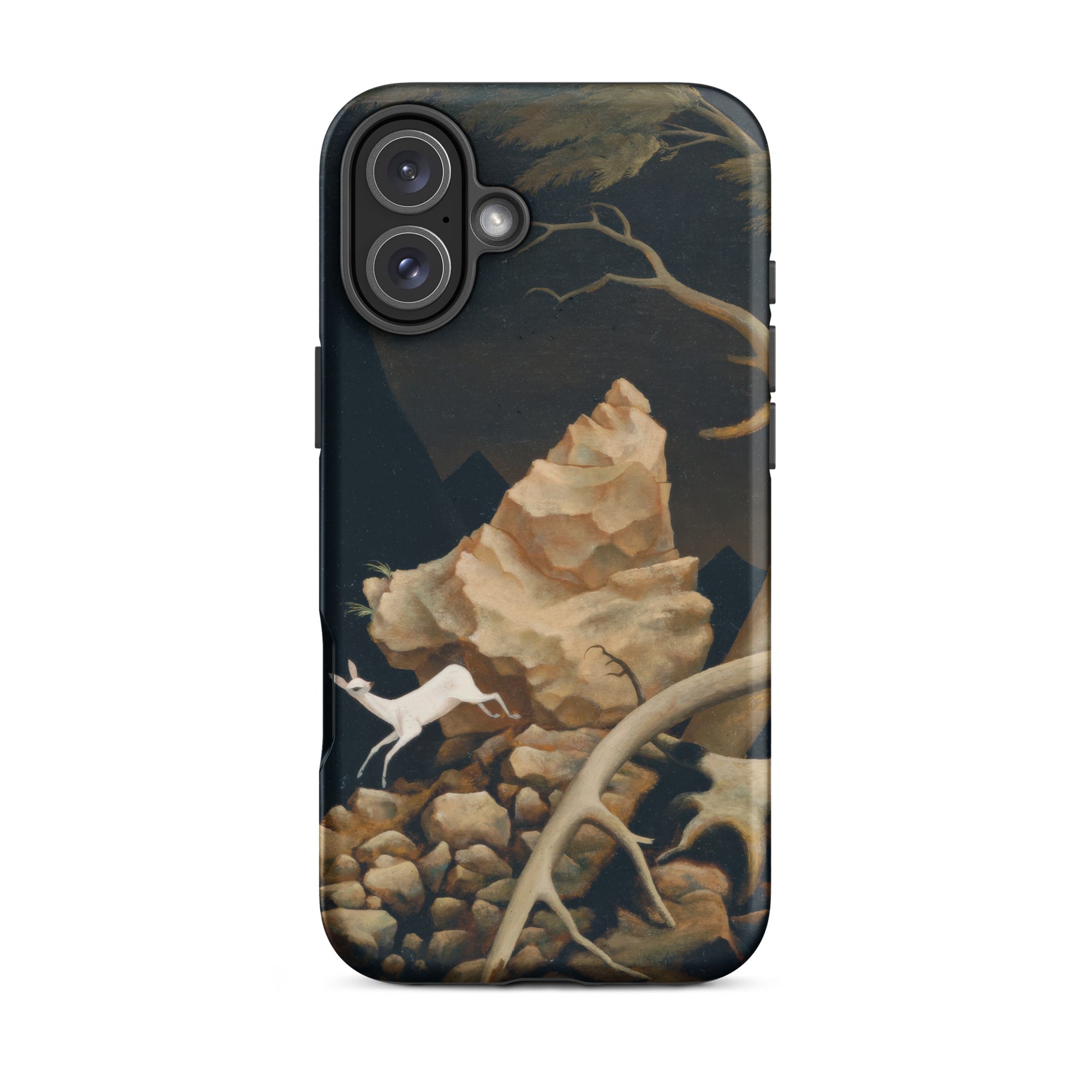 Storm Franz Sedlacek Iphone Case, 16 Plus / Matte, Protective Phone Case Nature Scene