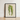 Framed Botanical Illustration Striped Green Leaf Cream-colored Paper Benjamin Fawcett’s Maize, Victorian Masterpiece, 19th-century Natural