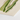 Close-up Art Print Wavy Green Stripes Red Outlines Benjamin Fawcett’s Striped Maize, Victorian Botanical Masterpiece, 19th-century Natural