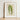 Framed Botanical Illustration Striped Green Leaves Light Wood Benjamin Fawcett’s Maize, Victorian Masterpiece, 19th-century Natural History