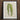 Framed Botanical Illustration Two Variegated Green Leaves Delicate Benjamin Fawcett’s Striped Maize, Victorian Masterpiece, 19th-century