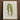 Framed Botanical Illustration Zamioculcas Zamiifolia Plant Elegant Wavy Benjamin Fawcett’s Striped Maize, Victorian Masterpiece,