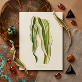 Striped Maize - Benjamin Fawcett Botanical Art Print / Canvas Botanical Illustration Print Elegant Long Leaves Vibrant Green Benjamin
