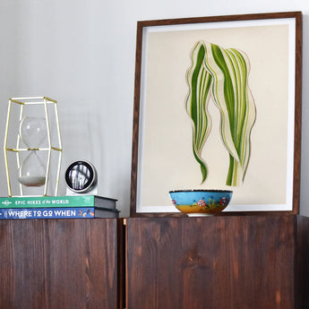 Striped Maize - Benjamin Fawcett Botanical Art Print, Framed Botanical Artwork Green White Striped Leaves Cream