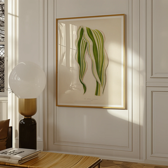 Striped Maize - Benjamin Fawcett Botanical Art Print, Framed Botanical Print Graceful Green Leaf Frond